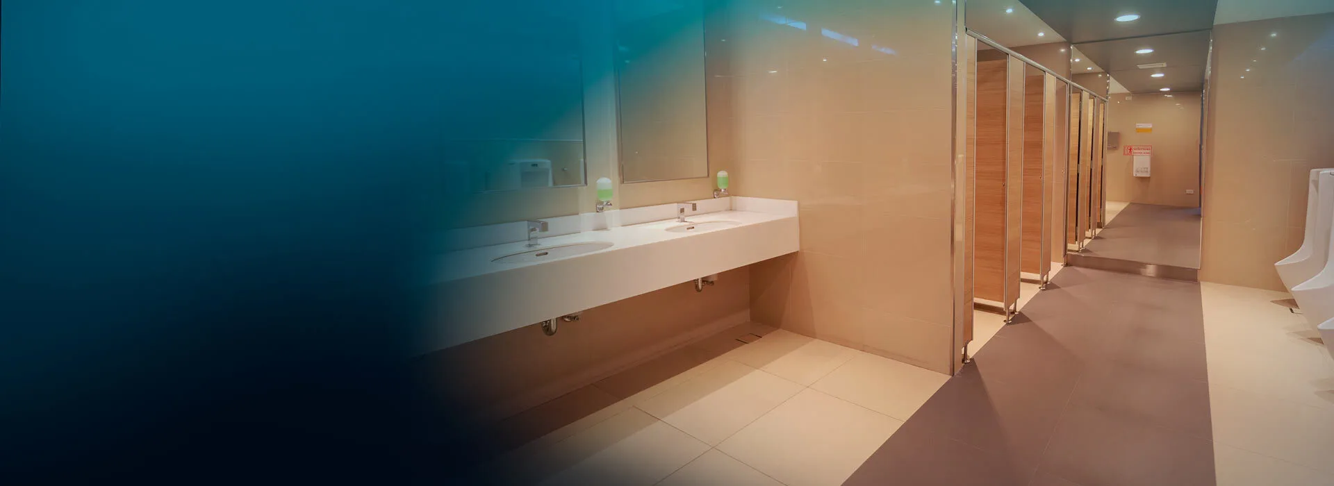 Washroom cleaning solutions